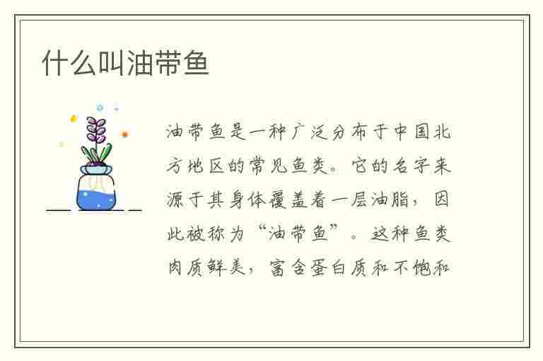 什么叫油带鱼(什么叫油带鱼和普通带鱼功效好吗)